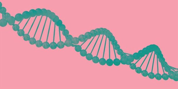Корни личности: как гены влияют на характер, интеллект и душевное здоровье