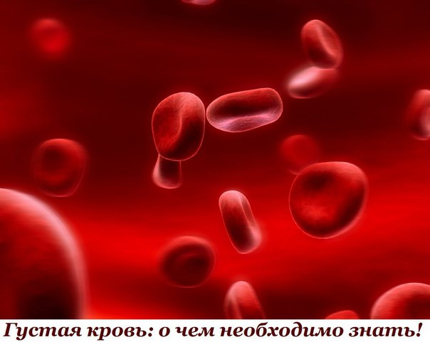Густая кровь: о чем необходимо знать!